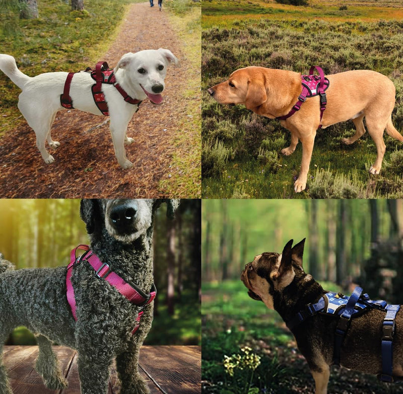 Adjustable Dog Harness – No Pull, Breathable Padded Harnesses with Handle for Small, Medium & Large Dogs – Reflective, Lightweight, Puppy Essentials to XL size. (Red, Medium) Red