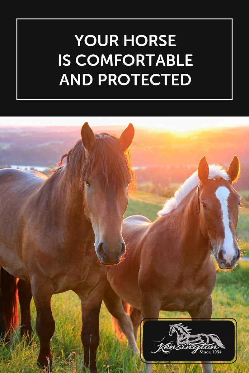 Kensington Fly Mask with Fleece Trim for Horses — Protects Face and Eyes from Flies and Sun Rays While Allowing Full Visibility — Breathable and Non Heat Transferring, X-Large, Tan - PawsPlanet Australia