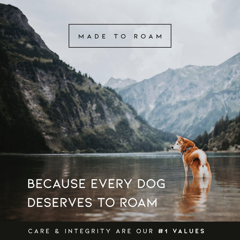 MADE TO ROAM Premium Explorer Harness - Y-Shaped Dog Harness with Adjustable Durable Nylon, Soft Padding, Metal Buckles and Leather Handle for Small, Medium, Large Dogs (Maine Marina, Size 5) Maine Marina - PawsPlanet Australia