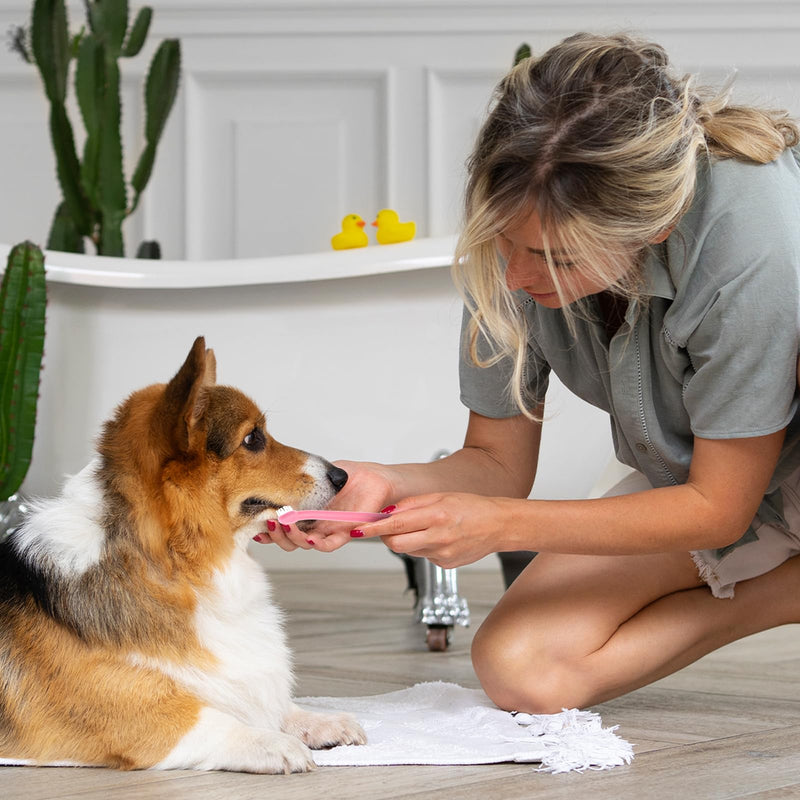 Pack of 8 Dog Toothbrush, Small Dog Pet Toothbrush, Soft Cat Toothbrush, Mini Toothbrush, Deep Cleaning Set, Portable, Travel-Friendly and Easy to Use for Puppies