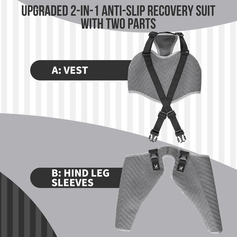 Arblina Hind Leg Sleeves for Post-operation Recovery, Upgraded Anti-Slip Dog Surgery Recovery Suit, Adjustable Dog Full Body Surgery Suit for Medium & Large Dogs, M