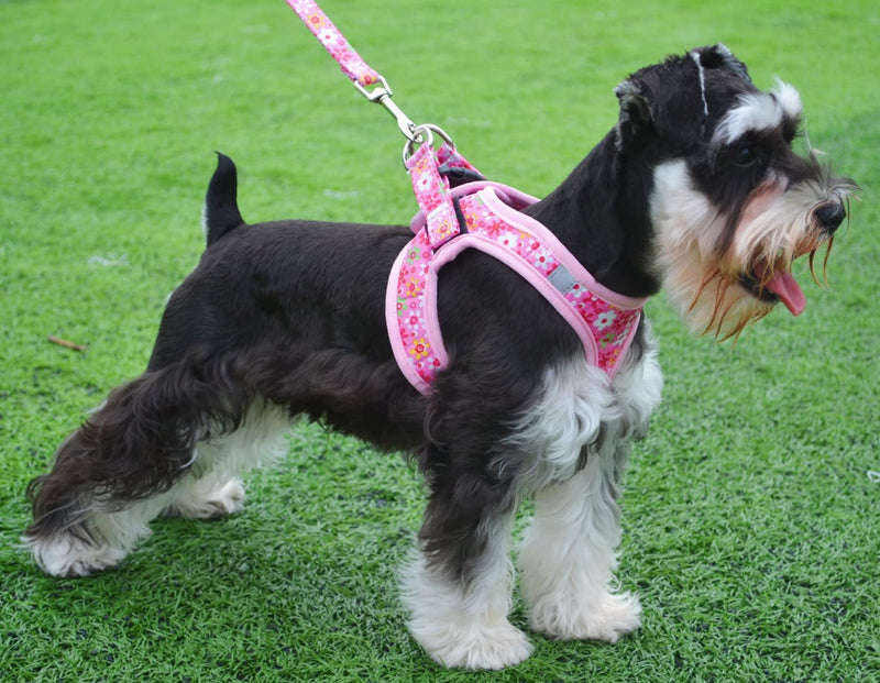 Moonpet Step in Dog Harness Leash Set- All Weather Reflective No-Pull Floral Pattern Padded Mesh Vest Harness for Cats Puppy Extra-Small Small Medium Large Dogs - Pink Flower - XS XS:neck 13.4’’-15.3’’,chest 15.7’’-18.5’’ - PawsPlanet Australia