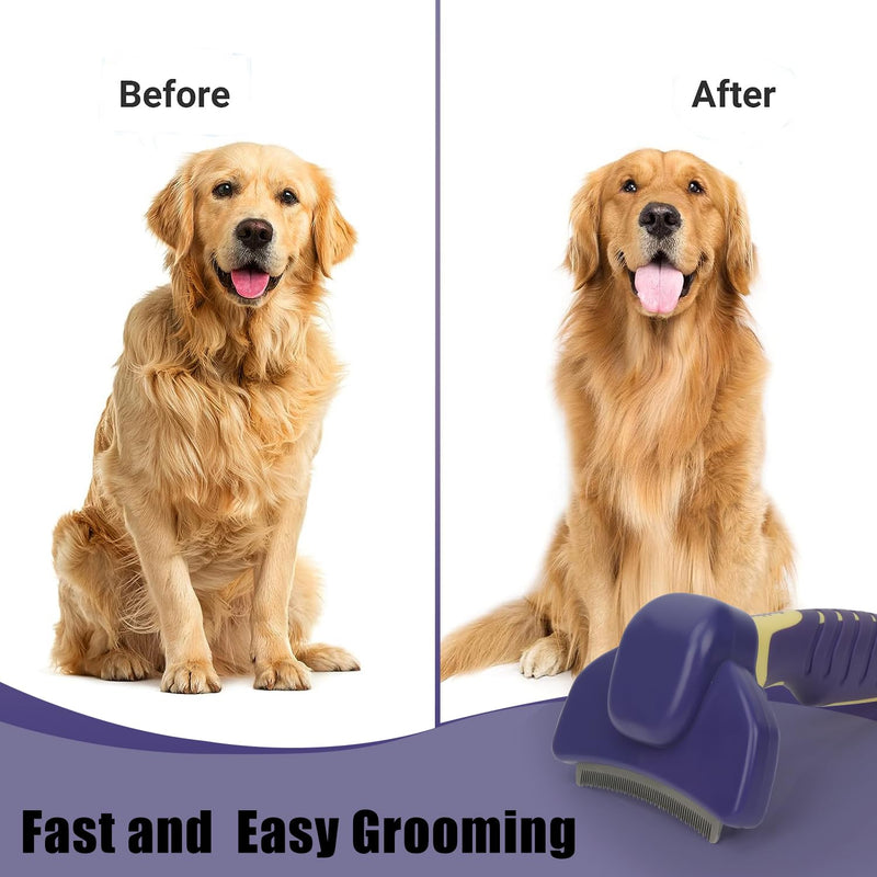 HOP Dog Deshedding Brush for Short Haired Dogs Cats Pets Professional Deshedding Tool Anti-Slip Handle & Detachable Head Highly Effective Deshedder Grooming Home of Paws Purple_M - PawsPlanet Australia