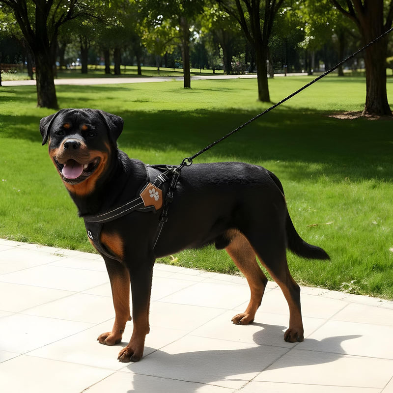 2 Pcs Dog Collar Safety Clips with Double Ended Clasps, Adjustable Collar Backup Clip with Reflective Stripes Harness Collar Connector for Walking Training Running Black - PawsPlanet Australia