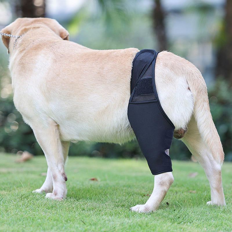 (S) Dog Knee Brace for Cruciate Ligament Injury Joint Pain Muscle Soreness. Adjustable Dog Leg Brace, Dog Support Brace,Dog Hind Leg Support. - PawsPlanet Australia