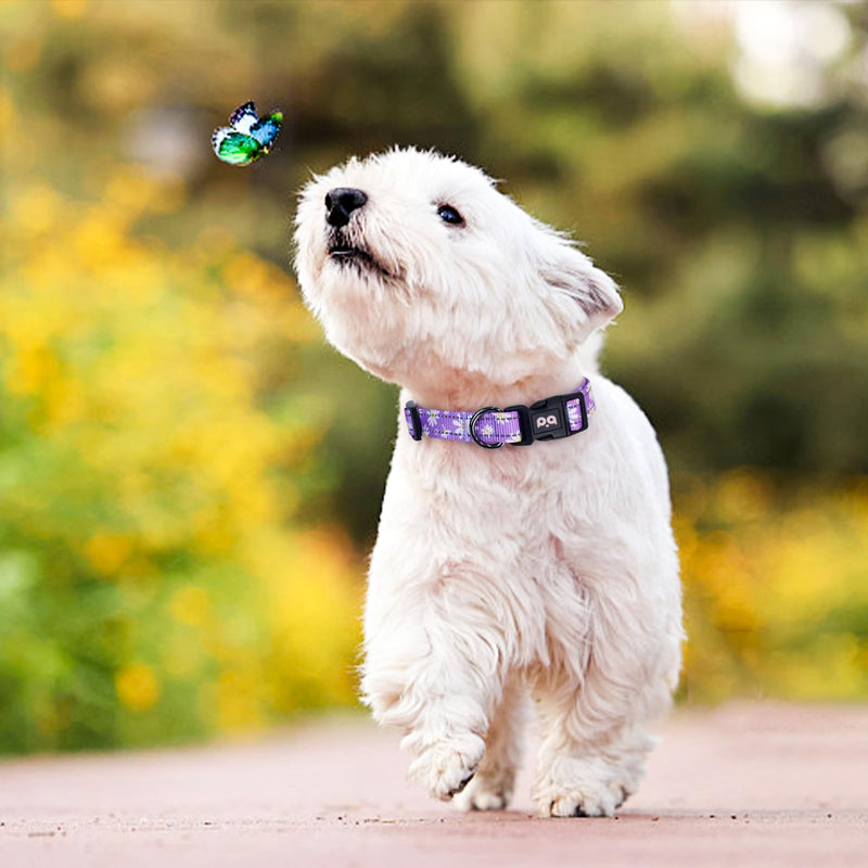 Dog Collar Cute Flower, Reflective Adjustable Basic Collars for Girl Female Small Medium Large Dogs Walking Running(X-Small,Purple) X-Small Purple - PawsPlanet Australia
