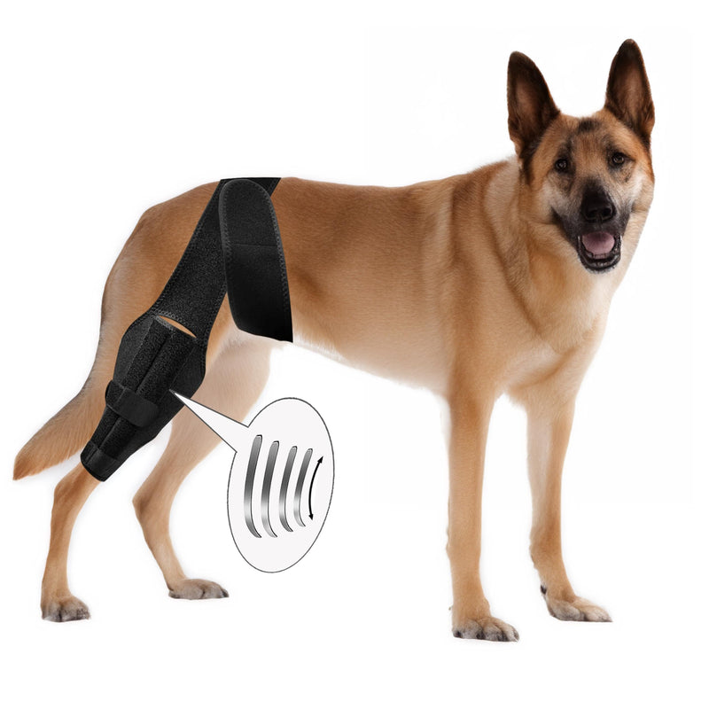 New Dog Knee Brace for Luxating Patella, ACL or Cruciate Ligament Injury Recovery, Osteoarthritis, Hip Dysplasia, or Arthritis Pain Relief, Flexible Spring Support (Large) Large
