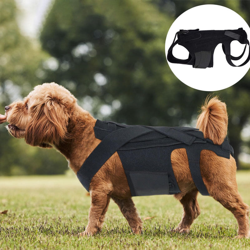 Fabater Dog Back Brace, Pet Back Support Vest, Back Brace for Dachshund, Corgis and Other Dogs, IVDD Arthritis, Herniated Disc, Surgical Spine Recovery S-Größe