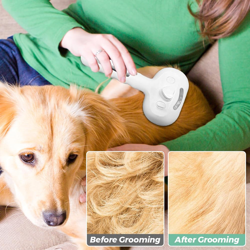 Cat Steam Brush, Cat Brushes for Indoor Cats, Pet Spray Hair Removal Comb Rechargeable Steam Brush with Release Spay Comb for Long Short Haired Massage Shedding Grooming Steaming Dog Kitten