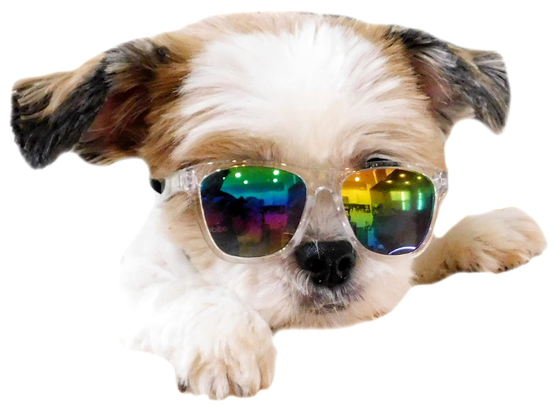 G014 Dog Cat Pet 80s Sunglasses Goggles for Small Breeds up to 15lbs (2-Pack Black+ Clear-Rainbow Mirror) 2-pack Black+ Clear-rainbow mirror