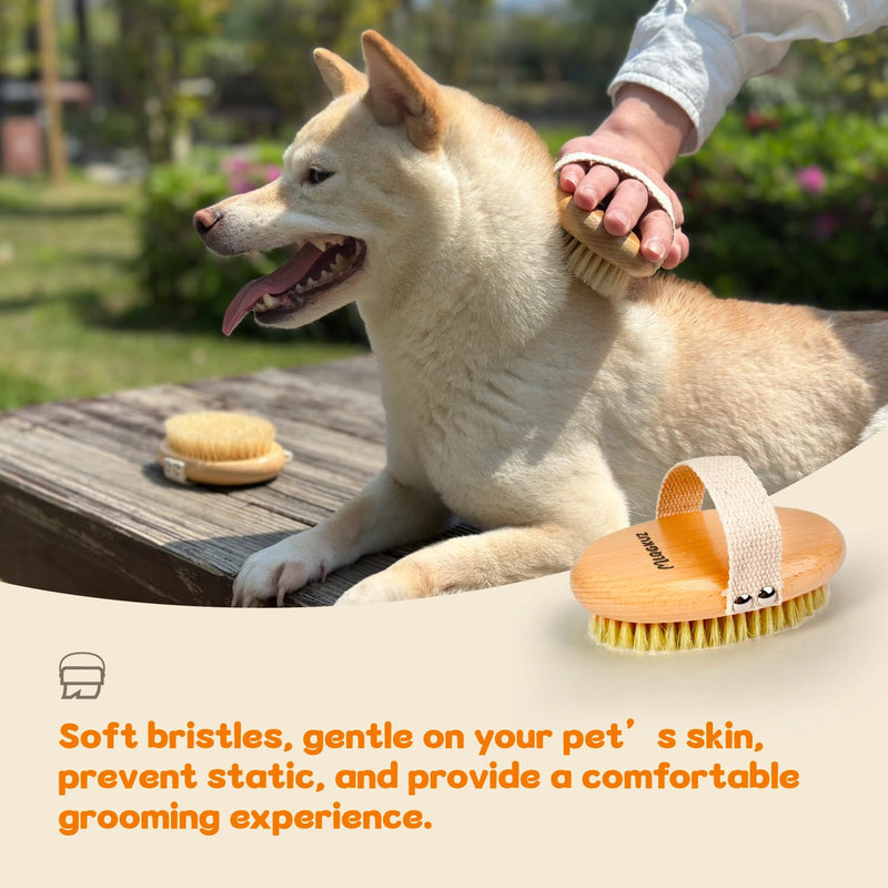 Professional Dog Brush Boar Bristle for Short-Haired Dogs - Reduces Shedding, Non-Slip Grip, Gentle Grooming - PawsPlanet Australia