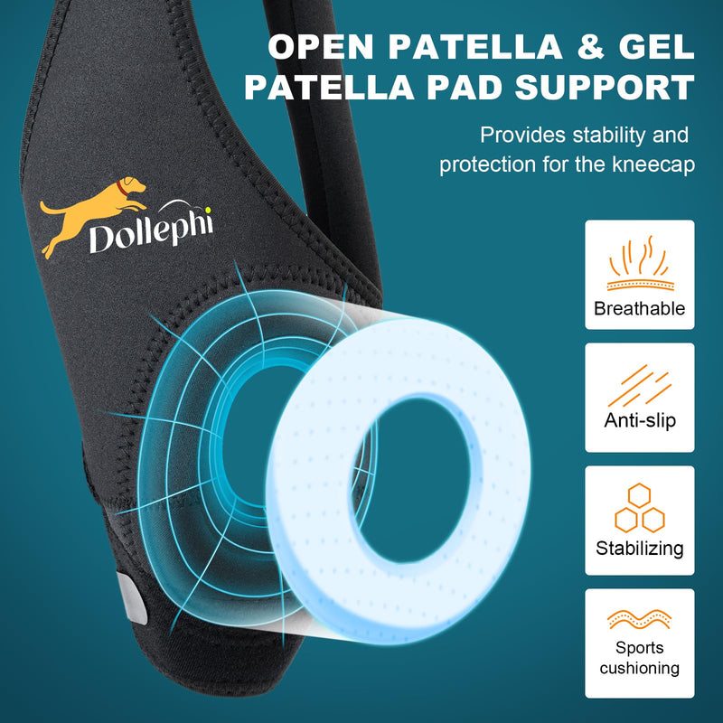 Dog Knee Brace for Torn ACL Hind Leg, Support for Patella Dislocation or Osteoarthritis, Cruciate Ligament Injuries, Cut-out Non-slip Wrap Promotes Patellar Stability,Patent Pending(Right Leg,M) Right Leg(gasket) M