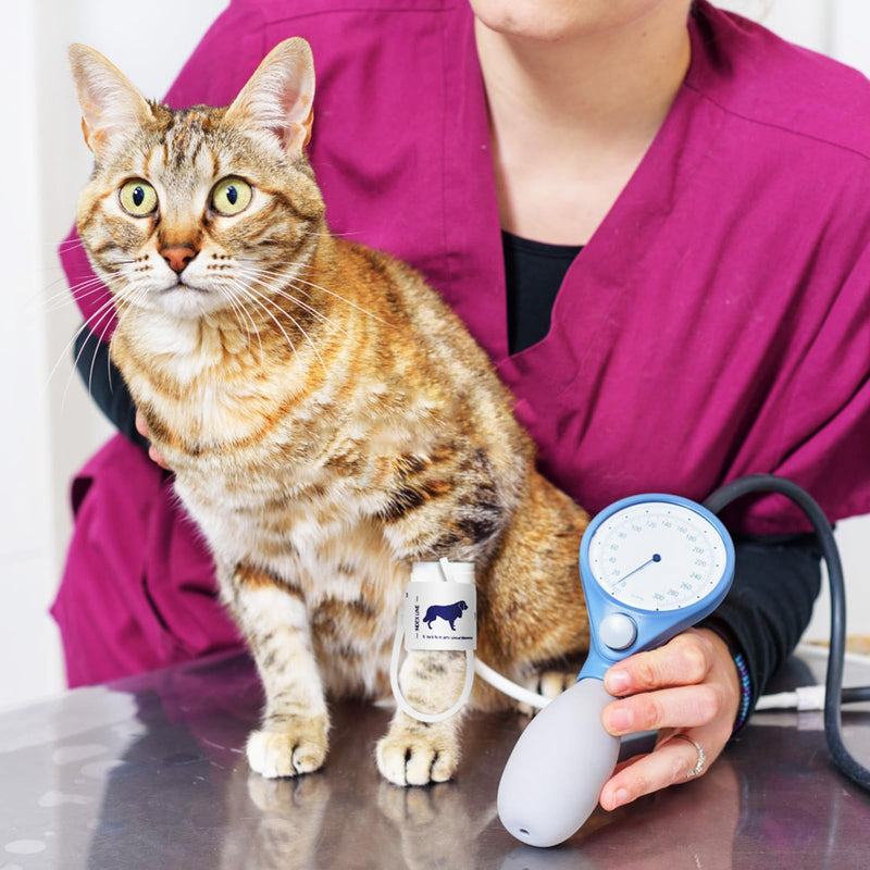 Blutdruckmanschette für Haustiere aus Vliesstoff Universelle Größe für Armumfang 5 9,5cm mit Vernünftiger Struktur und Leistung für Veterinärmedizinische Anwendung