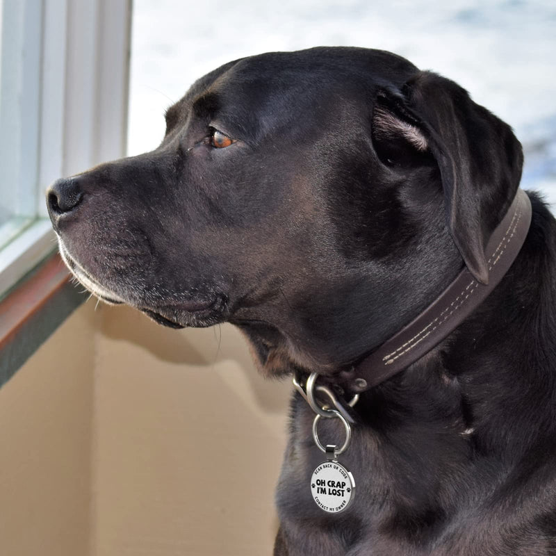MYLUCKYTAG QR Code Pet ID Tags Dog Tags - Pet Online Profile - Scan QR Receive Instant Pet Location Alert Email Im Lost - PawsPlanet Australia