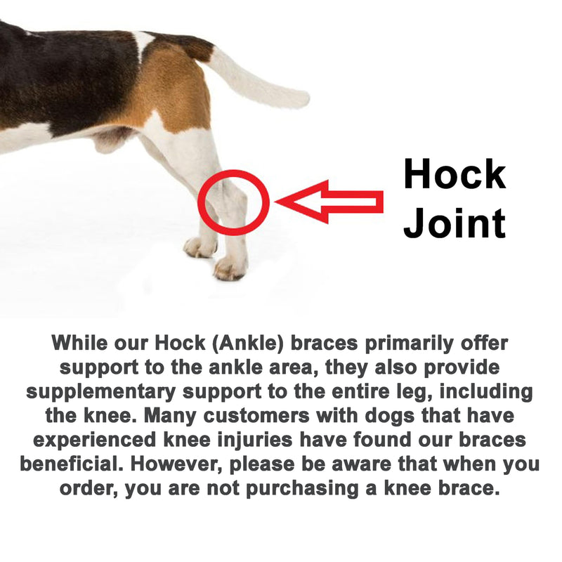 Doggie Stylz Dog Leg Braces for Back Leg Adjustable Dog Hock Brace for ACL Tear Recovery Arthritis Mobility Support Premium Leg Brace for Dogs Back Leg Dog Knee Braces for Back Leg Comfort Stability Medium - PawsPlanet Australia