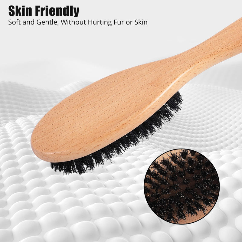 Boar Bristle Cat Brush with Wooden Handle, Soft and Gentle, Reduce Shedding, Make Coat Soft, Smooth and Shinny, Daily Grooming Tool for Short Haired Cats, Kitten Wood - PawsPlanet Australia