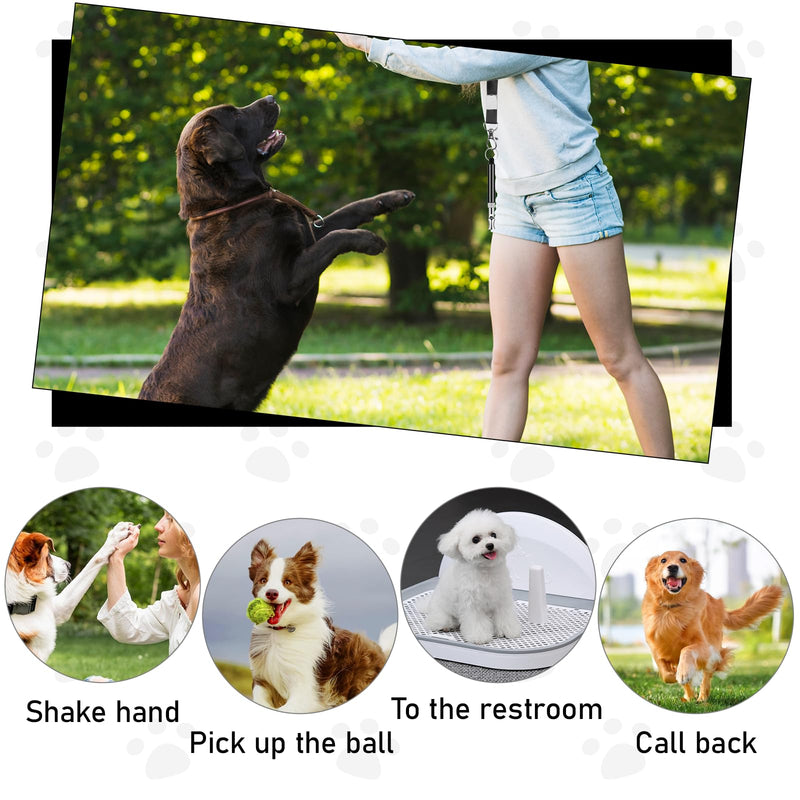 2 Pack Dog Whistle to Stop Barking Neighbors Dog, Dogs Whistle Training Whistles with Lanyard Adjustable Ultrasonic Silent Dogs Recall Whistles Effective Recall & Long Range (Black) - PawsPlanet Australia