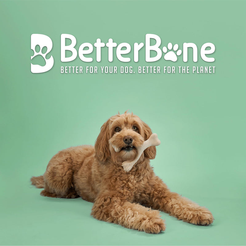 All-Natural, Nylon-Free Dog Chew Toys - Medium Density - Ideal for Moderate to Strong Chewers - Non-Toxic, Promotes Dental Health, Splinter-Resistant, Sustainably Made Beef Small - PawsPlanet Australia