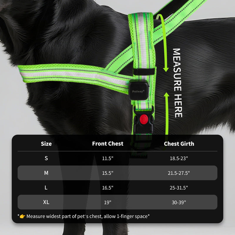 PetIsay LED Light Up Dog Harness - USB-C Rechargeable, IPX7 Waterproof, Reflective, No Pull Dog Vest with Soft Padded Handle for Night Walking(Pink, Medium) M Pink - PawsPlanet Australia