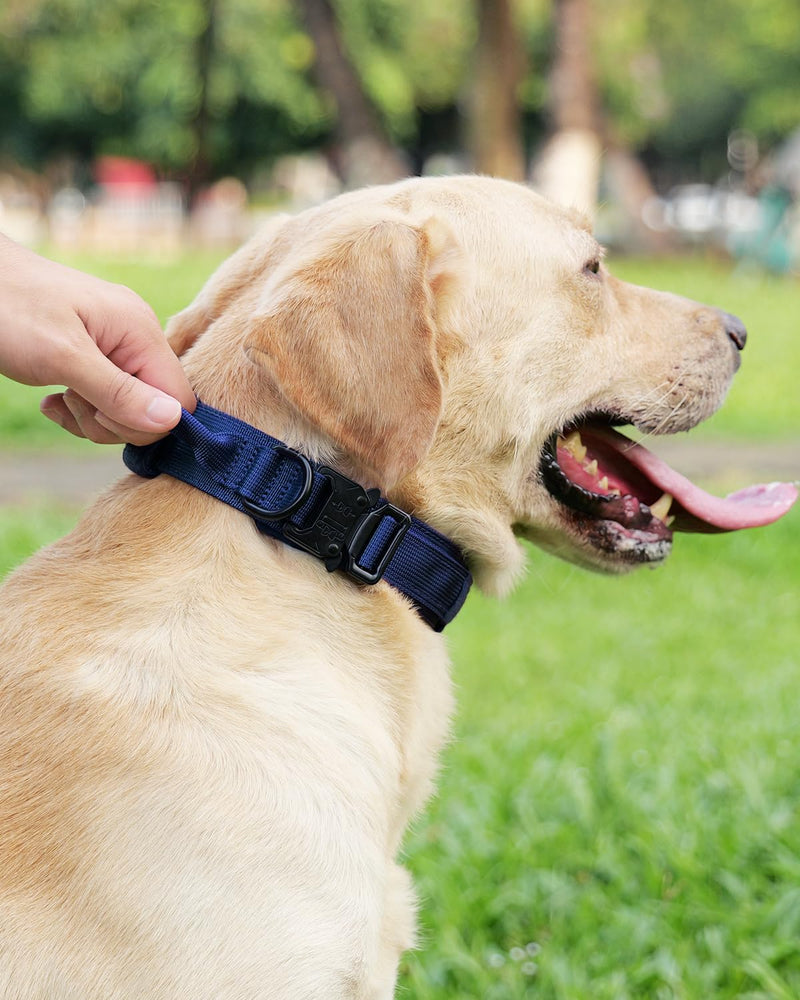 Joytale Tactical Dog Collar(17"-21") and Dog Leash Set, Shock Absorbing Bungee Dog Leash and Adjustable Strong Dog Collar with Handle for Large Dogs(Navyblue, L) - PawsPlanet Australia