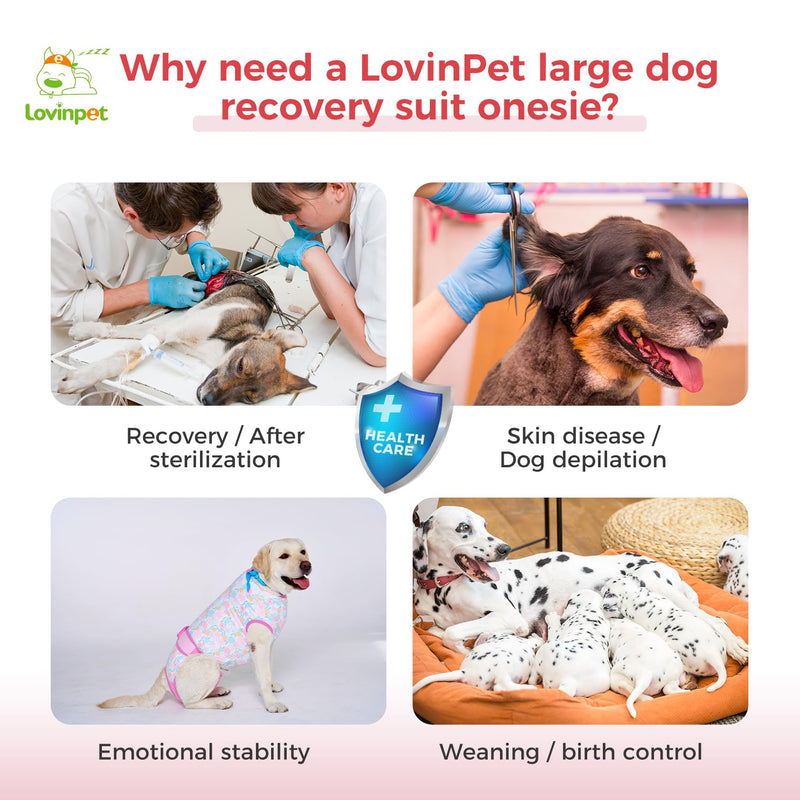 LovinPet Spay Suit for Female Dog: Surgical Suit for Male Dogs Female & Male Anti-Licking Protection Full Body Coverage for Anti-Shedding XL Pink - PawsPlanet Australia