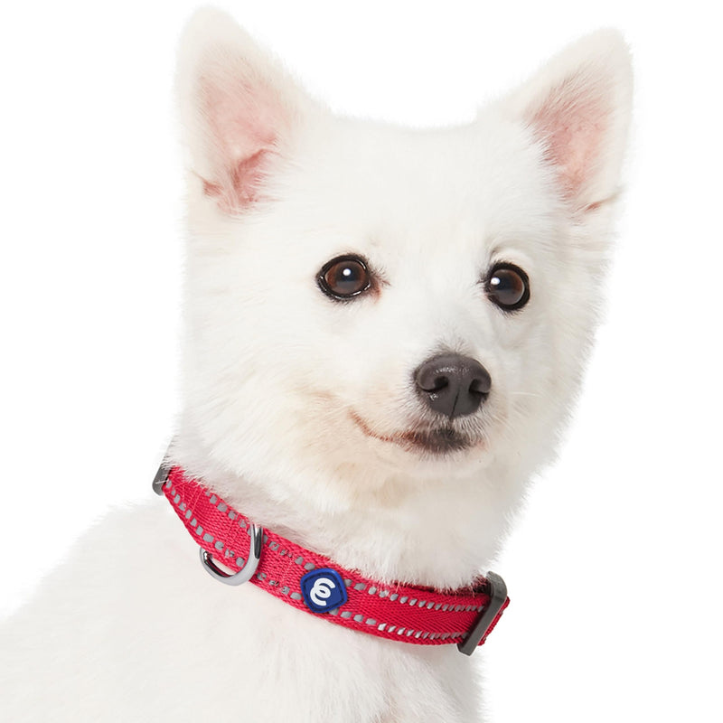 Blueberry Pet Essentials Reflective Dog Collar & Leash Set, Adjustable for Small Dogs | Safe Walking Gear for Pet Parents, Puppy Training & Daily Use SmallDogs, Very Berry - PawsPlanet Australia