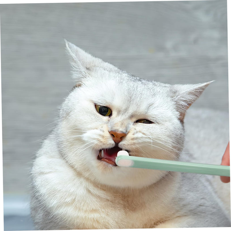 Toddmomy 3-Piece Small Pet Toothbrushes with Soft Heads and Tongue Cleaner, Precise for Dogs, Cats, and Rabbits, Durable Plastic Handles, Colorful