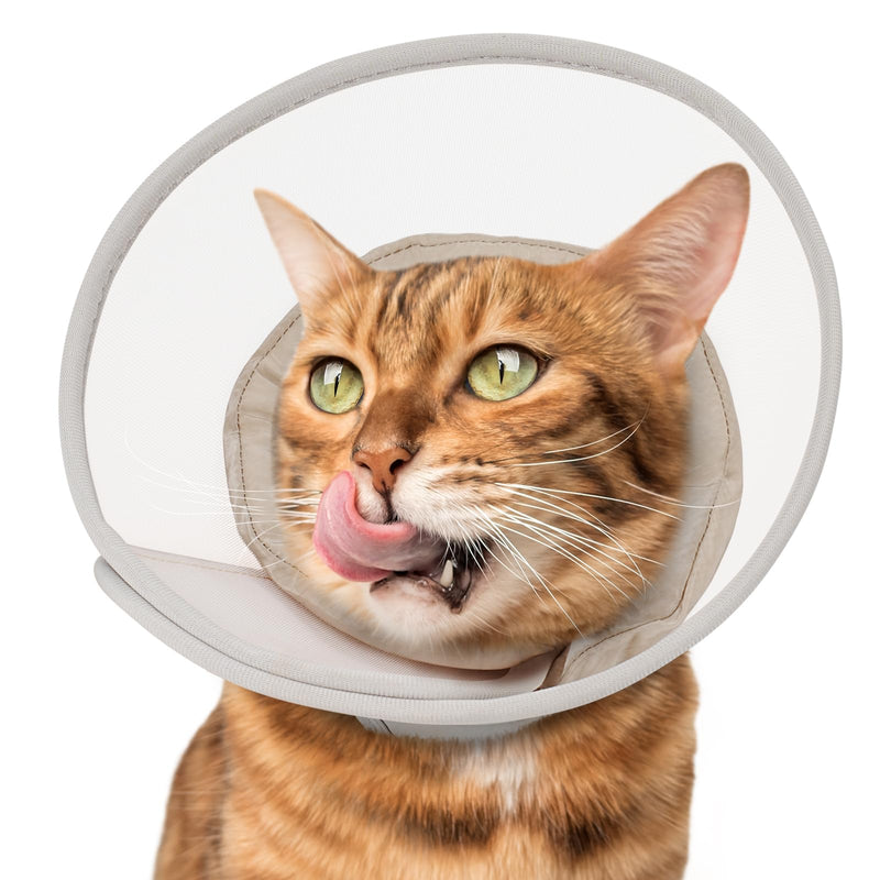 Cat Cone Collar Soft: Comfortable Waterproof Mesh Recovery Cone After Surgery to Stop Licking and Scratch, Alternative to Plastic Elizabeth Head/Neck Cone,M