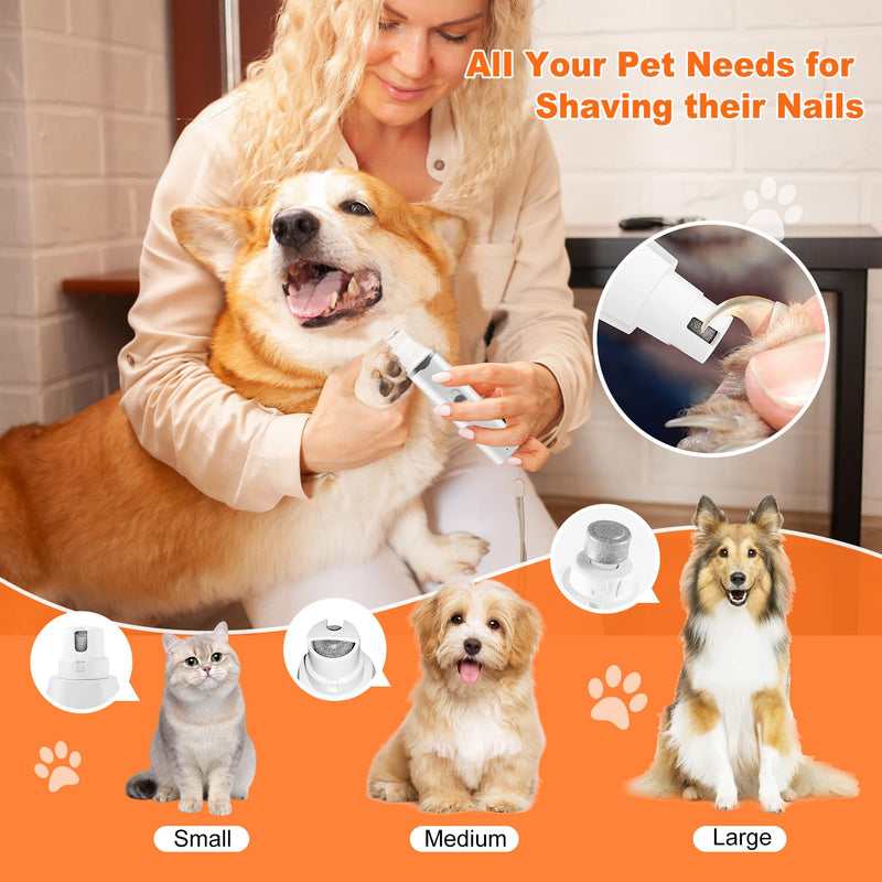 Dogs Hair Clippers Grooming Kit with Nail Grinder, 4-in-1 Electric pet Clippers for Dogs, Low Noise USB Rechargeable Cordless for Dogs Cat, Grooming Paws, Eyes, Ears, Face, Matted Hair - PawsPlanet Australia