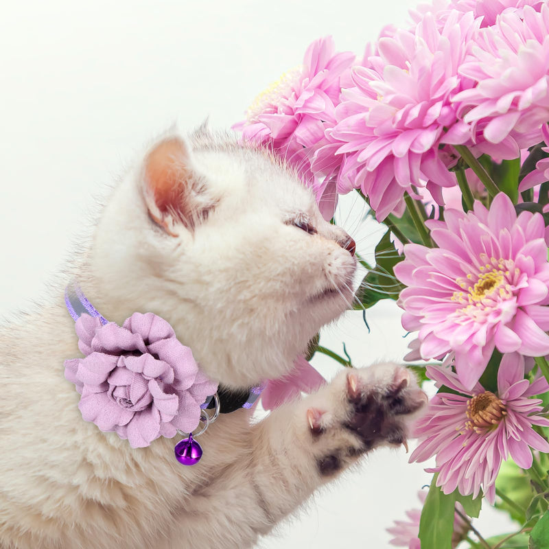 2 Pack Girl Cat Collar, Cute Flower Cat Collars, Flexible Adjustable Floral Cats Bowtie Collar, Removable Kitten Collars with Bells for Boys Girls Cats Puppies Small Pets, Purple Pink - PawsPlanet Australia