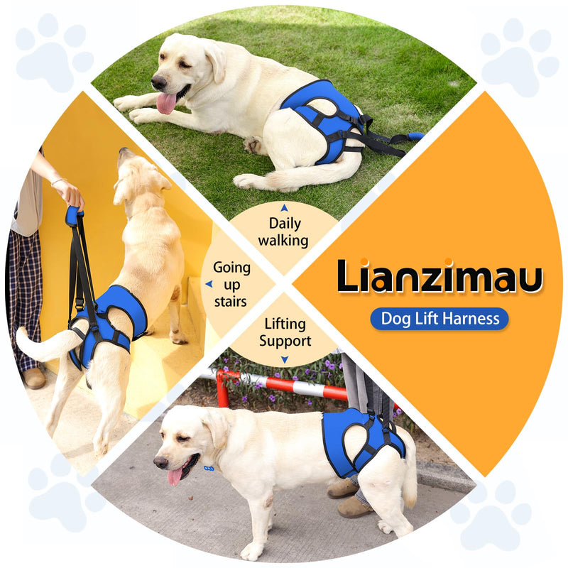 LIANZIMAU Dog Sling for Large Dogs Adjustable Hind Leg Support Lift Harness Senior Canine Mobility Aid Carrier for Back Legs Walking Rehabilitation Royal Blue L - PawsPlanet Australia