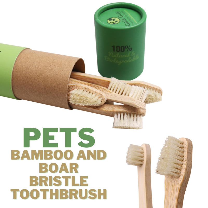 Gaia Guy Bamboo and Boar Bristle Double-Sided Pet Toothbrushes - 6-Pack - for Dogs, Cats and Planet - Plastic-Free and Nylon-Free Natural Bristles - No Microplastics - PawsPlanet Australia