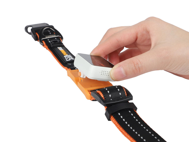 Pawfit 3 Series Collar, Nylon Dog Collar with Safety Buckle, Adjustable Pet Collars with Quick Release Buckle (Black & Orange, Extra large) Black & Orange - PawsPlanet Australia