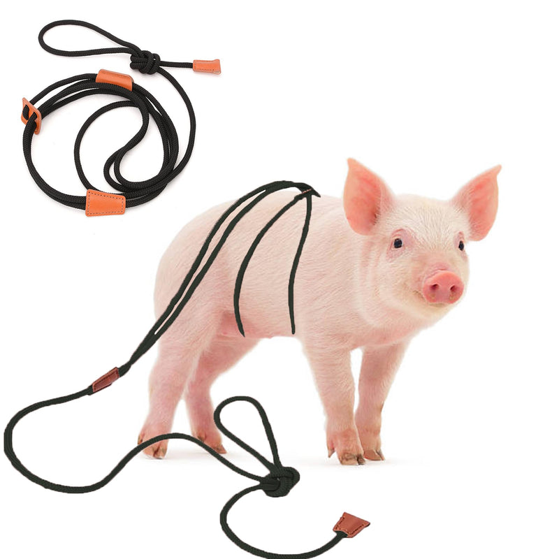 Pig Harness & Leash, Escape Prevention Adjustable Rope, All in One Design, All Life Stages Small to Medium Mini Pigs-5 Feet Long-Black Black - PawsPlanet Australia