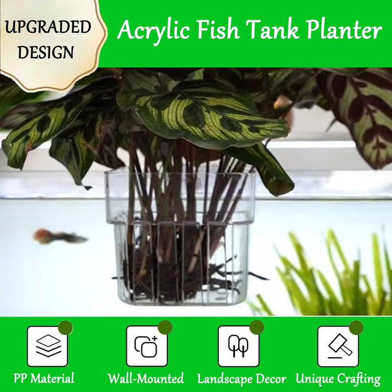 Aquarium Plant Holder, Aquatic Fish Tank Plant Holder with Hooks, Clear Aquatic Fishtank Planter Hanging Holder, Fish Tank Decorations Aquarium Decor (2 Pcs) 2 Pcs - PawsPlanet Australia