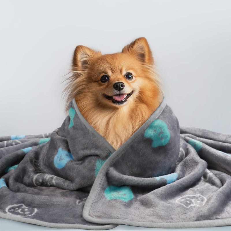 1 Pack 3 Blankets Super Soft Fluffy Premium Cute Cat Pattern Pet Blanket Flannel Throw for Dog Puppy Kitten Blue/Cyan/Grey Large(41x31 inch) 41x31 inch (Pack of 3) - PawsPlanet Australia
