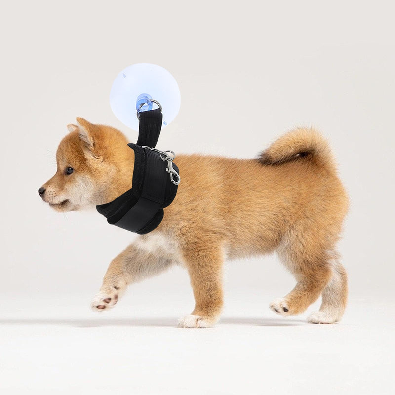 Suction cup grooming holder for dog bathing and nail care with adjustable bracket. Suitable for cats and dogs. Stable holder for safe bathing and grooming at home.