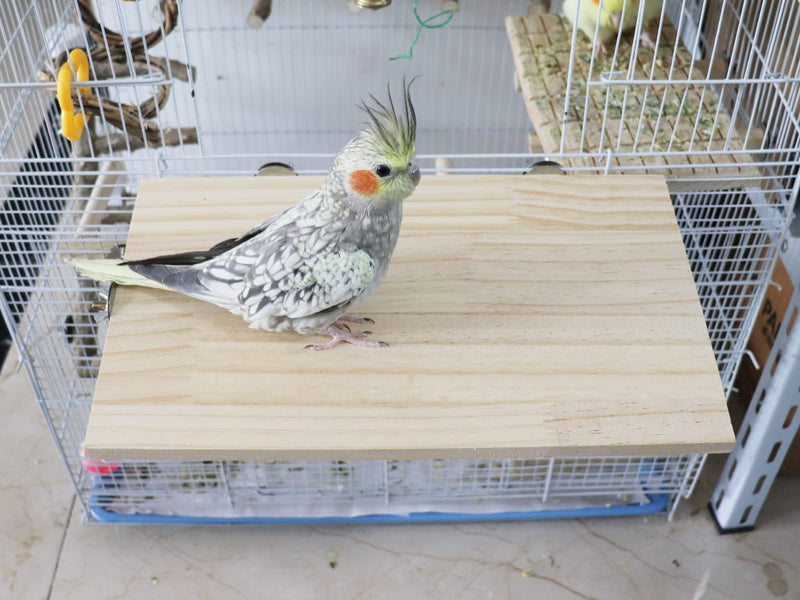 13.6×7.9 Inches Large Bird Perch Stand Platform, Natural Wooden Small Animals Cage Accessories, Rectangle Stand Perch Shelf for Parrot Parakeet Cockatiel Rat Hamster Guinea Pig Conure Chinchillas 13.6 × 7.9 Inches - PawsPlanet Australia