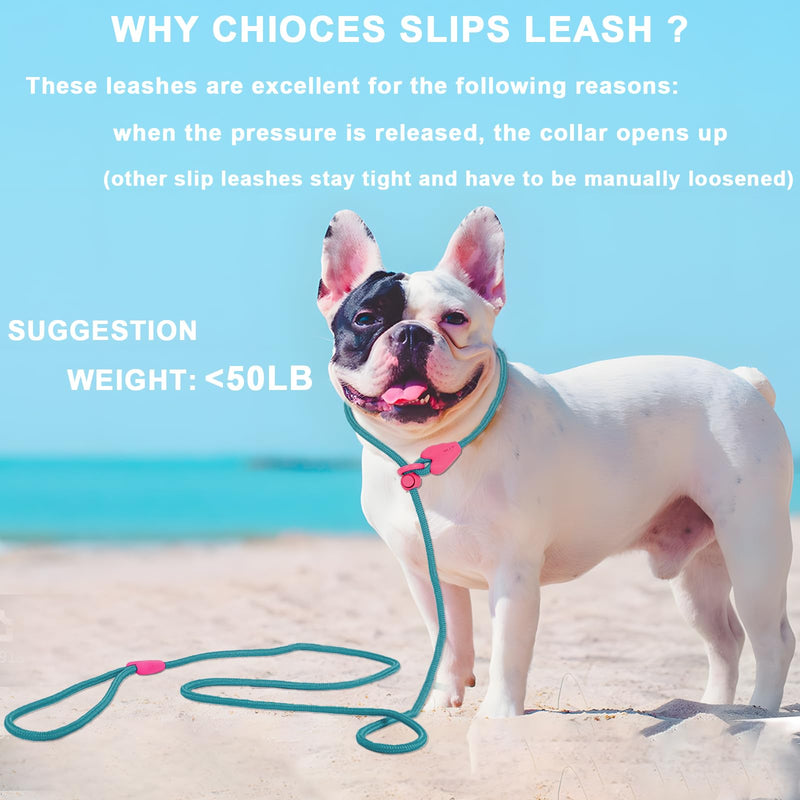Slip Lead No Pull Dog Leash Slip Leads for Dogs Puppy Leash 6FT Slip Leash for Dogs Dog Lead with 6 Colors Strong Nylon Dog Training Leash Dog Leash (Green) Small Lake Green - PawsPlanet Australia