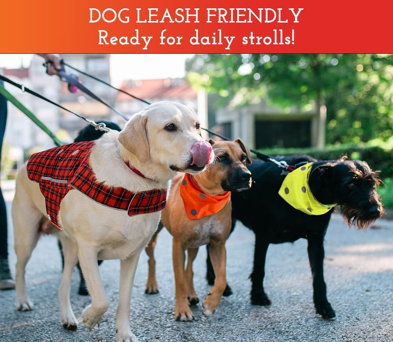SPOT THE DOG! Reflective Bandana Bib Safety Apparel for All Dogs - Easy Fastening Closure, Reversible High Visibility Fluorescent Orange/Yellow L-XL L-XL (Neck: 17"-29.5") - PawsPlanet Australia