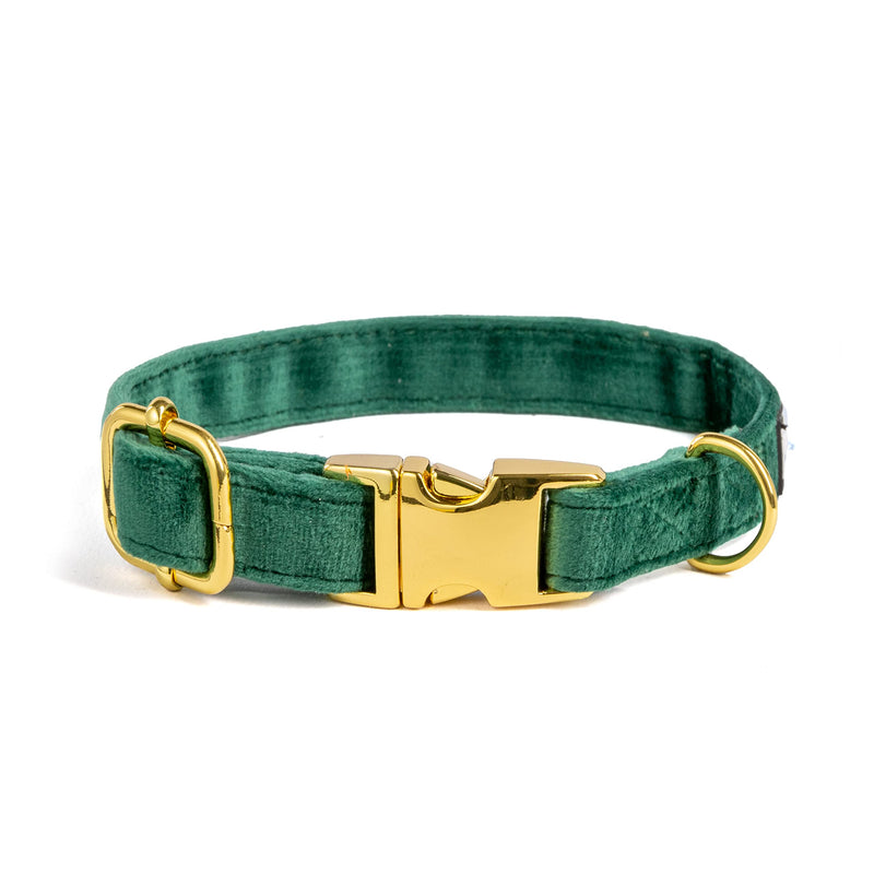 Emerald Green Velvet Dog Collar Bowtie – Comfortable Luxury Adjustable Dog Collar with Detachable Bow Tie Safety Buckle for Puppy Small Medium Dogs and Cat Kitten (Extra Extra Small) Extra Extra Small