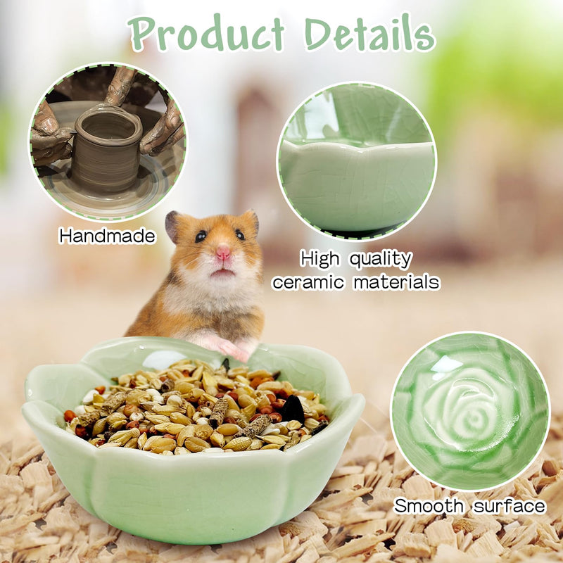 BNOSDM 2 Pcs Hamster Ceramic Food Bowl Flower Series Gerbil Drinking Bowls Anti-Turning Food & Water Dish for Dwarf Syrian Hamsters Gerbil Chinchilla（Green, Rose Pattern） 2.Green - PawsPlanet Australia