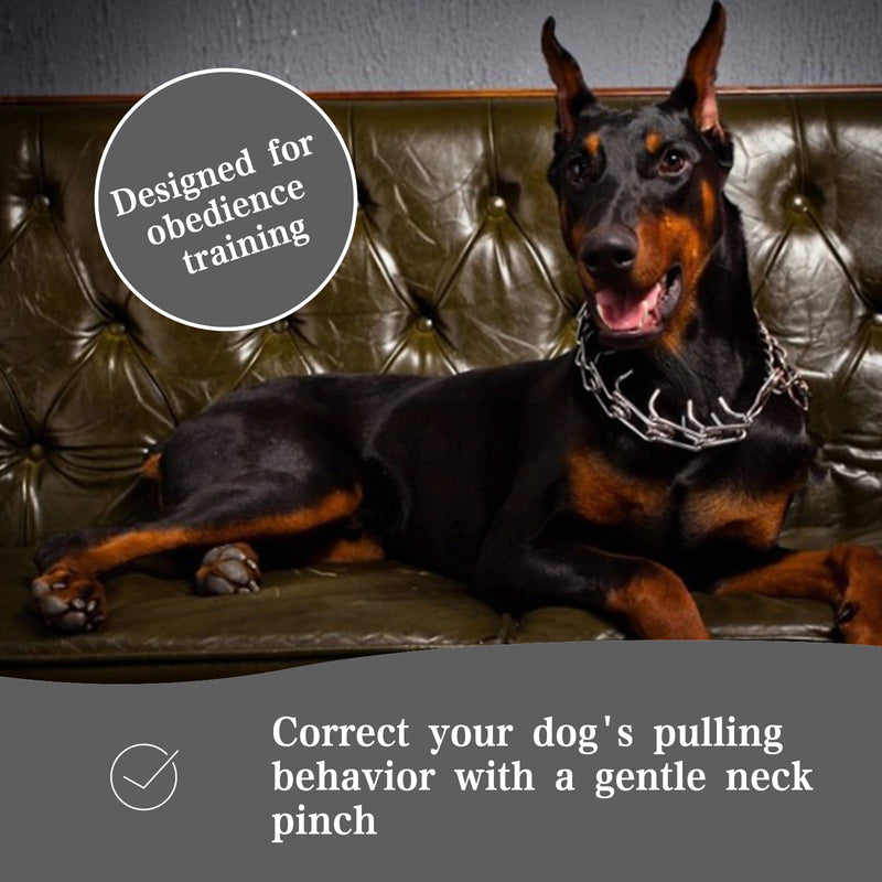 Pinch Collar - Adjustable Prong Collar for Small to Large Dogs with Comfort Rubber Tips (L, 18'-20') L (Neck:18''-20'' Weight：60-90 lbs) Luxury Silver - PawsPlanet Australia