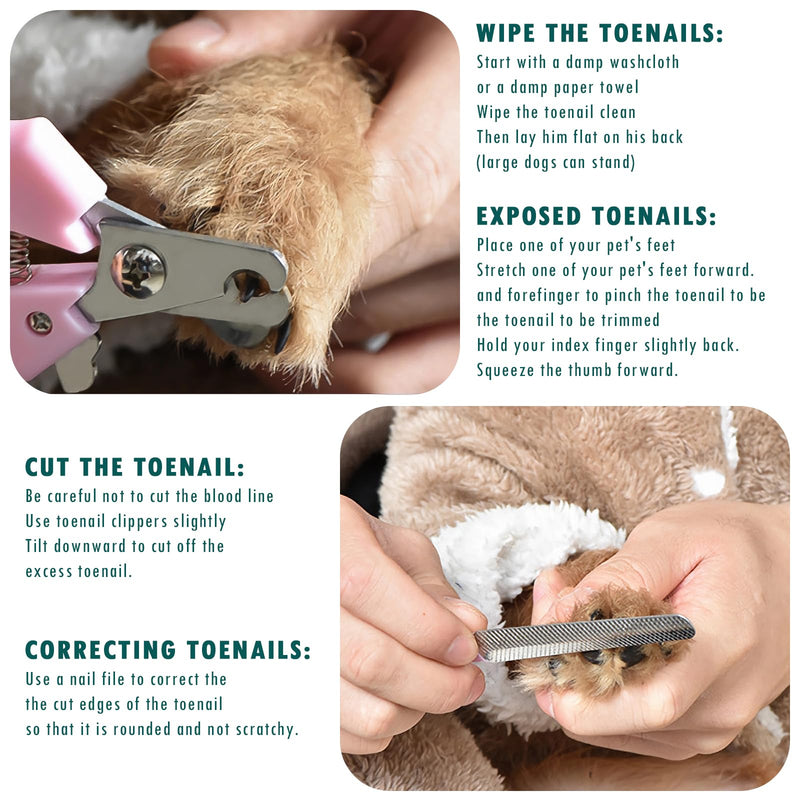 Dog Grooming Kit, Electric Dog Nail Trimmers, Adjustable Direction Dog Nail Grinder with 3 Ports, Low Noise Dog Nail Clippers with Light, Pet Shaver for Small and Large Dogs Cats - PawsPlanet Australia