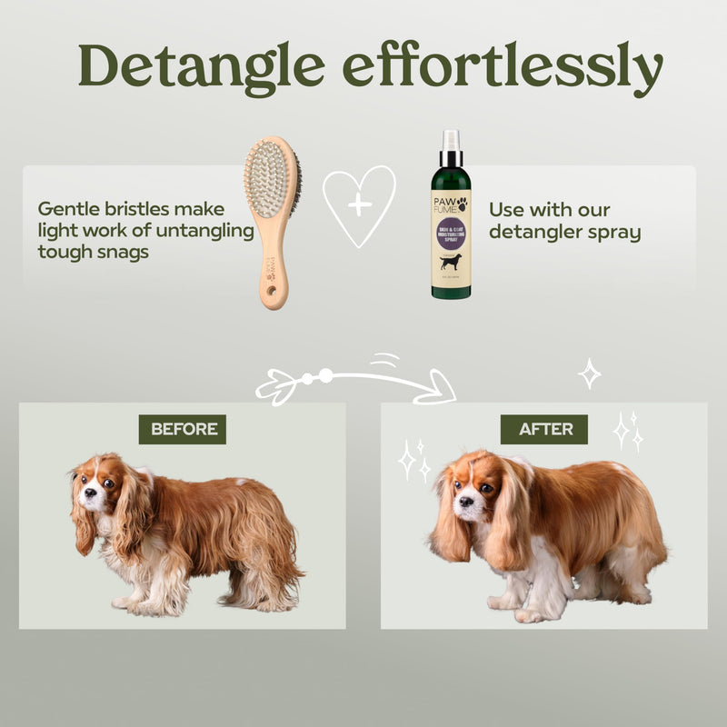 PAWFUME 2-in-1 Cat & Dog Brush – Sculpt Salon-Soft Coats in Minutes – Rubber-Tipped Pins, Smooth Tangles, Wood-Handle Comfort, & Gently Massages Skin – Doubles as a Cat Brush for All Breeds - PawsPlanet Australia