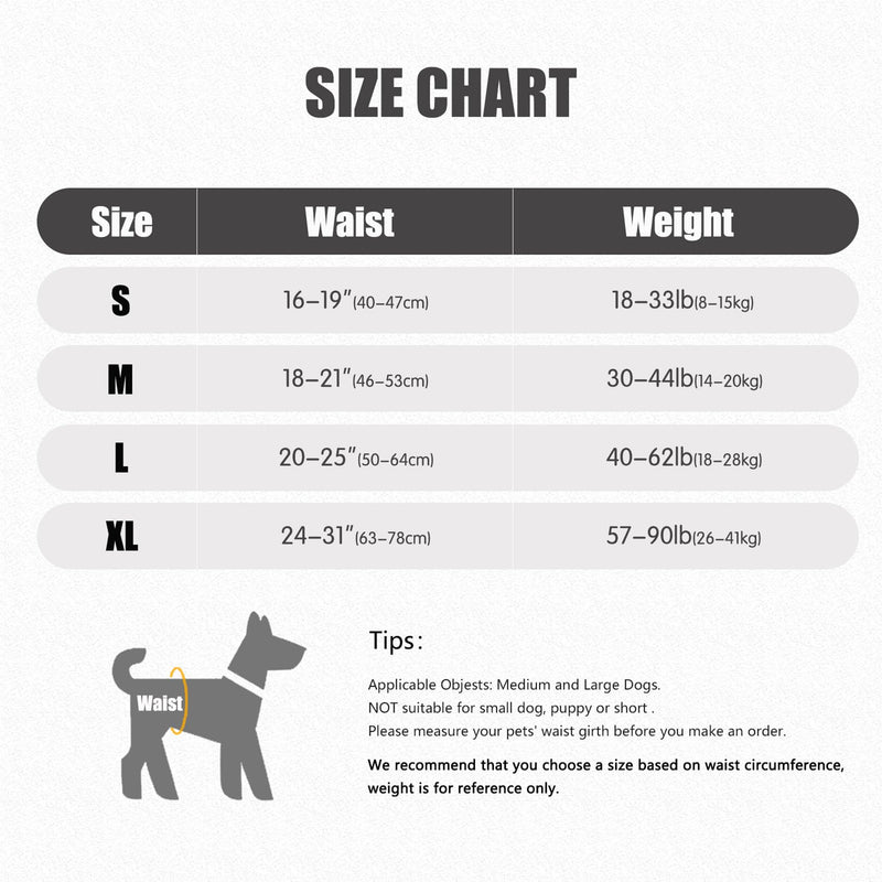 Dotoner Dog Lifting Harness, Dog Support Harness for Back Legs, Soft Support Sling for Injured Disabled Small, Medium Large Dogs, Sling for Back Legs, Lift Support Harness (S, Grey) S