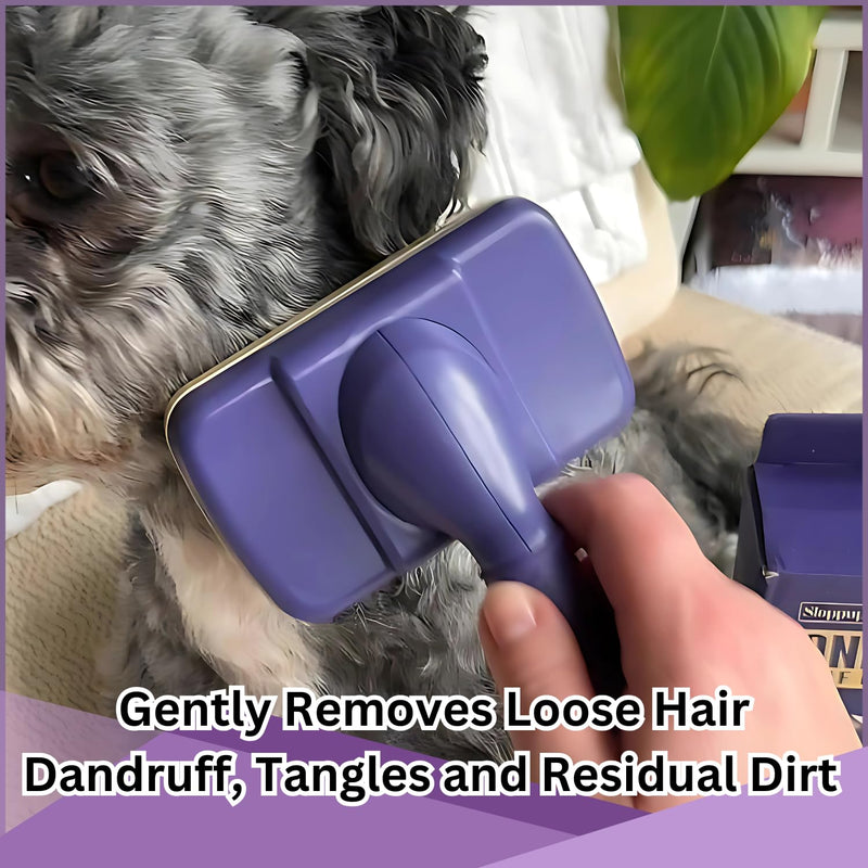 PetBuds Flea Comb for Dogs and Cats, Dog Hair Comb Grooming Tool for Removing Tear Stains, Fleas, Dandruff, Lice (Slicker Dog Brush, 2, count) Slicker Dog Brush 2.0