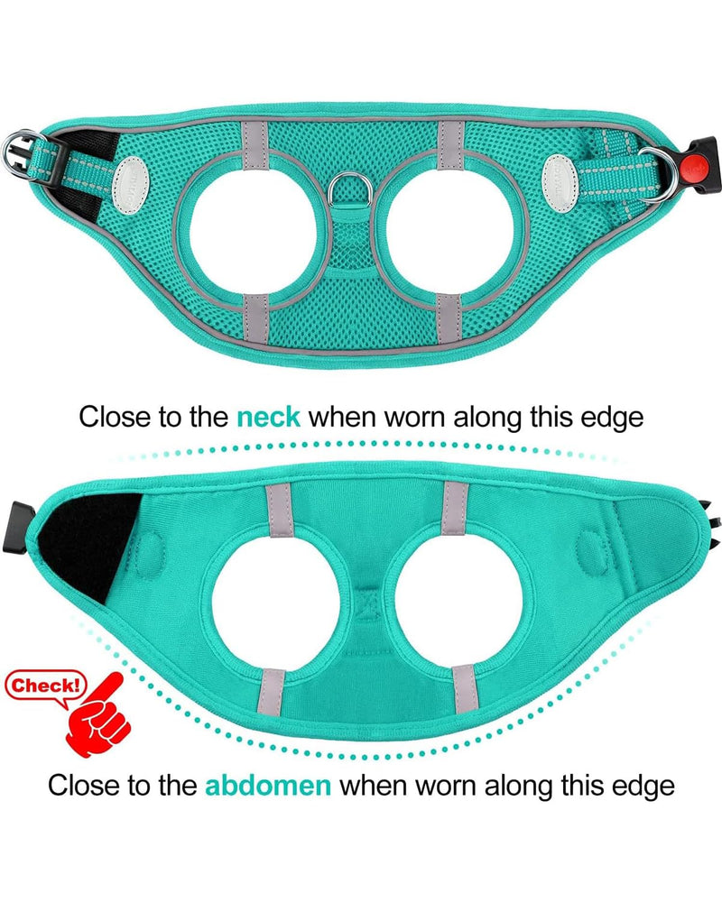 Joytale Small Dog Harness, Breathable Mesh Step-in Vest, Reflective Soft Padded Harnesses Small Sized Dog for Walking, Teal, S S--Chest: 15-16.5'' - PawsPlanet Australia