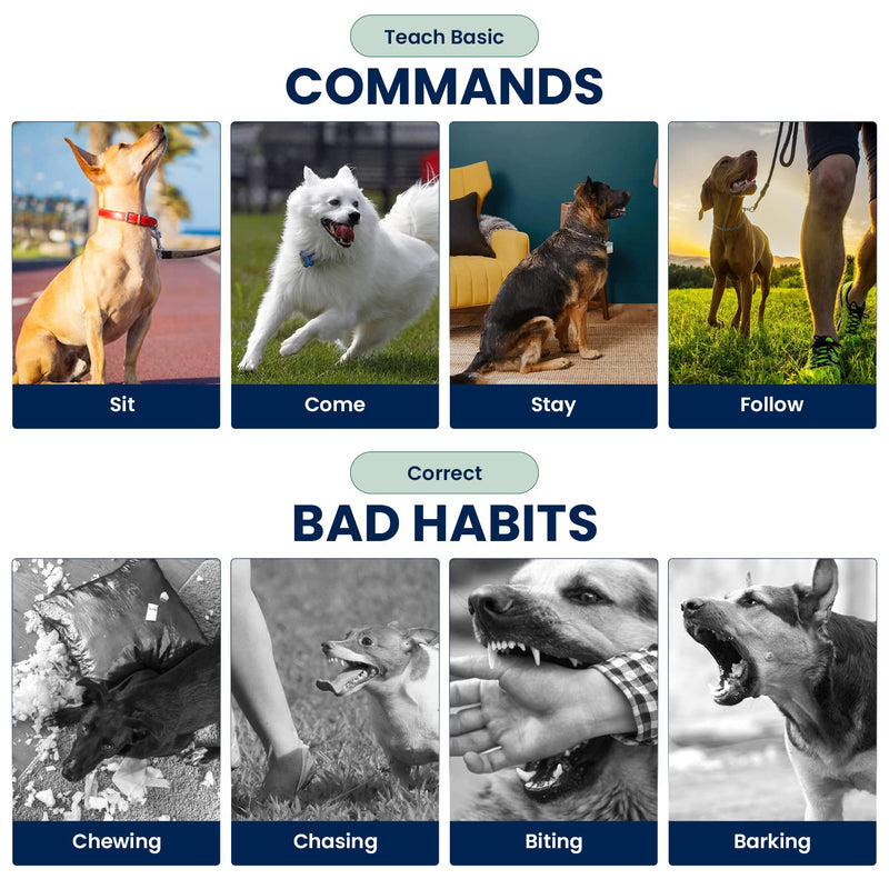My Pet Command 1.25 Mile (6600 Ft) Dog Training Extra Collar Safe Dog Shock Collar Shock, Vibrate, Tone and Flashing Beacon Lights Waterproof Rechargeable Dog Hunting add Up to 3 Collars Extra Collar Only - PawsPlanet Australia