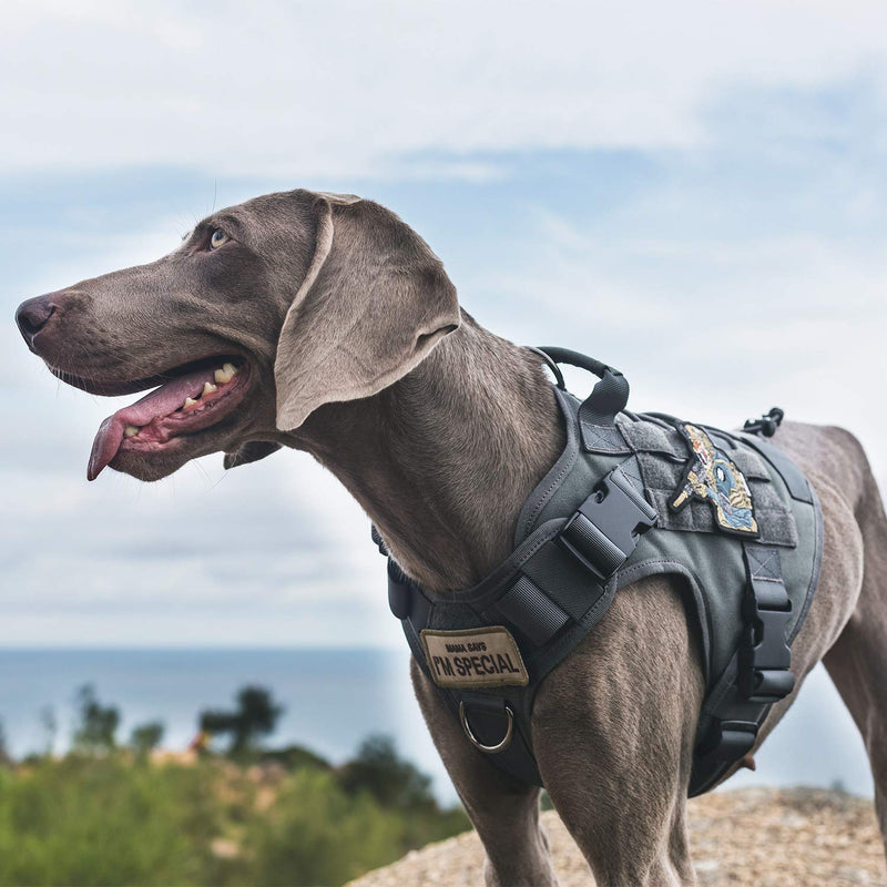 OneTigris Dog Harness, Adjustable Tactical Dog Harness with Handle Full Body Dog Vest for Hiking Training Outdoor Dogs(Grey,Small) S Grey - PawsPlanet Australia